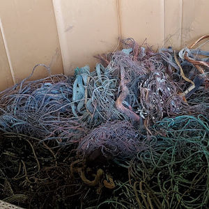 Meet your Posher, Jairo